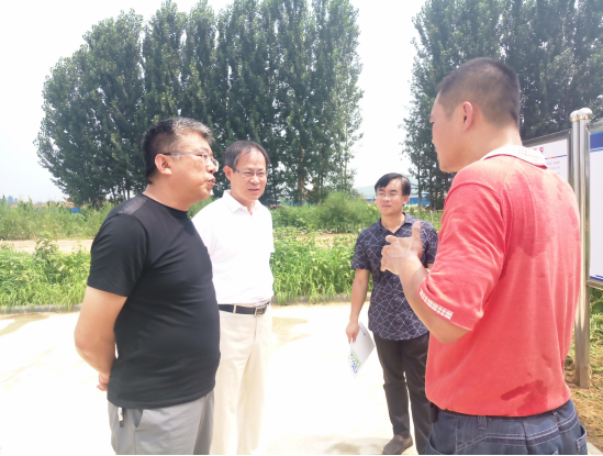 Mayor Zhang Ruishu inspected Qinhuangdao Seiko Green Building Company and listened to the report on the construction of the project (Figure 2) Mayor Zhang Ruishu inspected Qinhuangdao Seiko Green Building Company and listened to the report on the construction of the project (Figure 2)